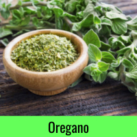 Organo