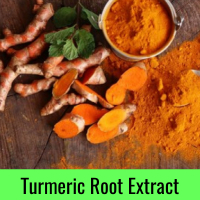 Tumeric Root Extract
